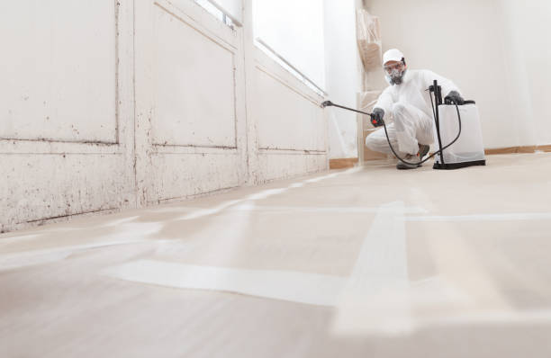 24/7 Emergency Commercial Mold Remediation experts in Bridgeport, IL