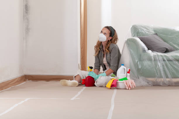 Reliable Commercial Mold Remediation contractor in Bridgeport, IL by 24 Hour Mold Removal